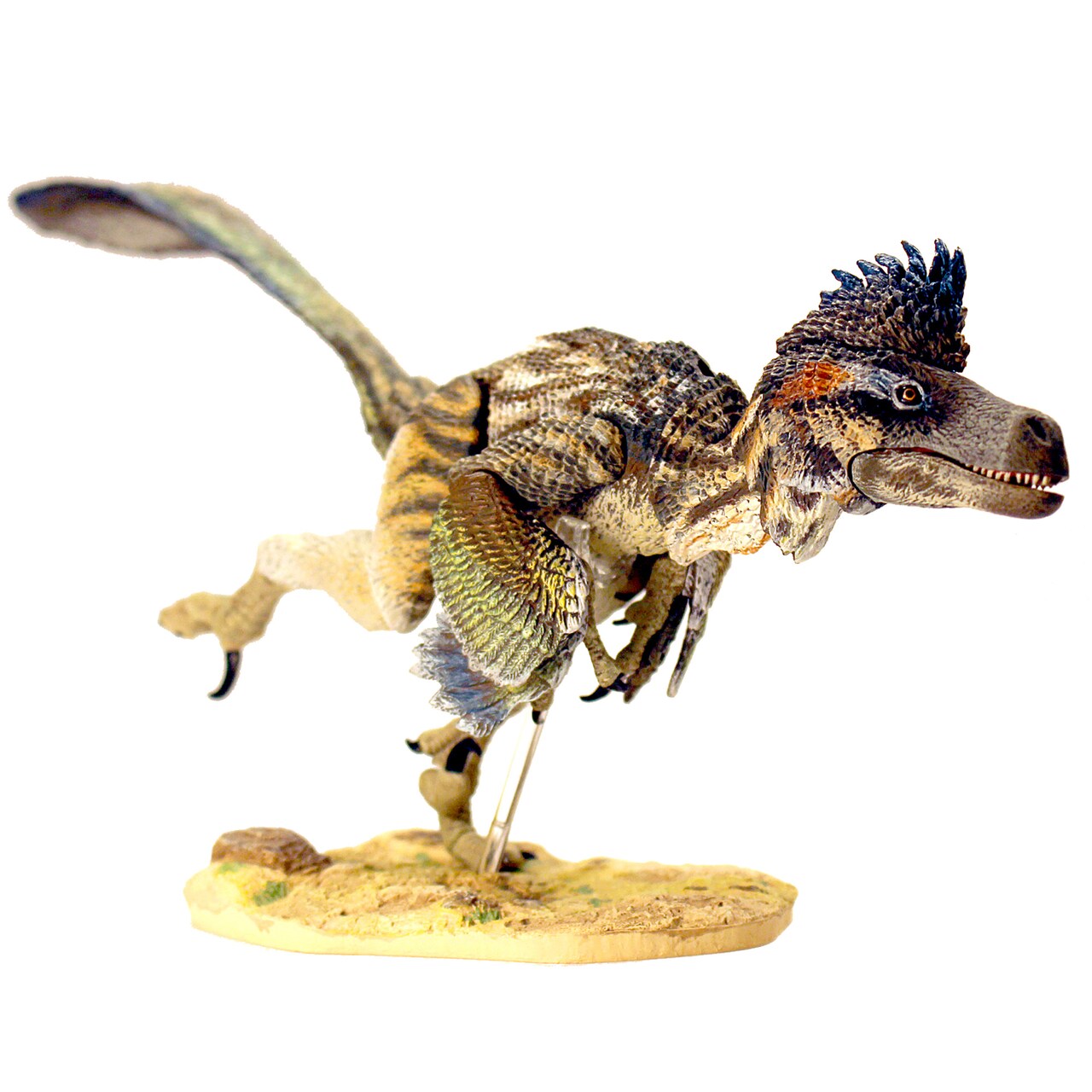 Beasts Of The Mesozoic: Saurornitholestes Langstoni Fan's Choice 2nd Release -1/6th Scale Dinosaur Action Figure- Articulated Collectible Hand-Painted